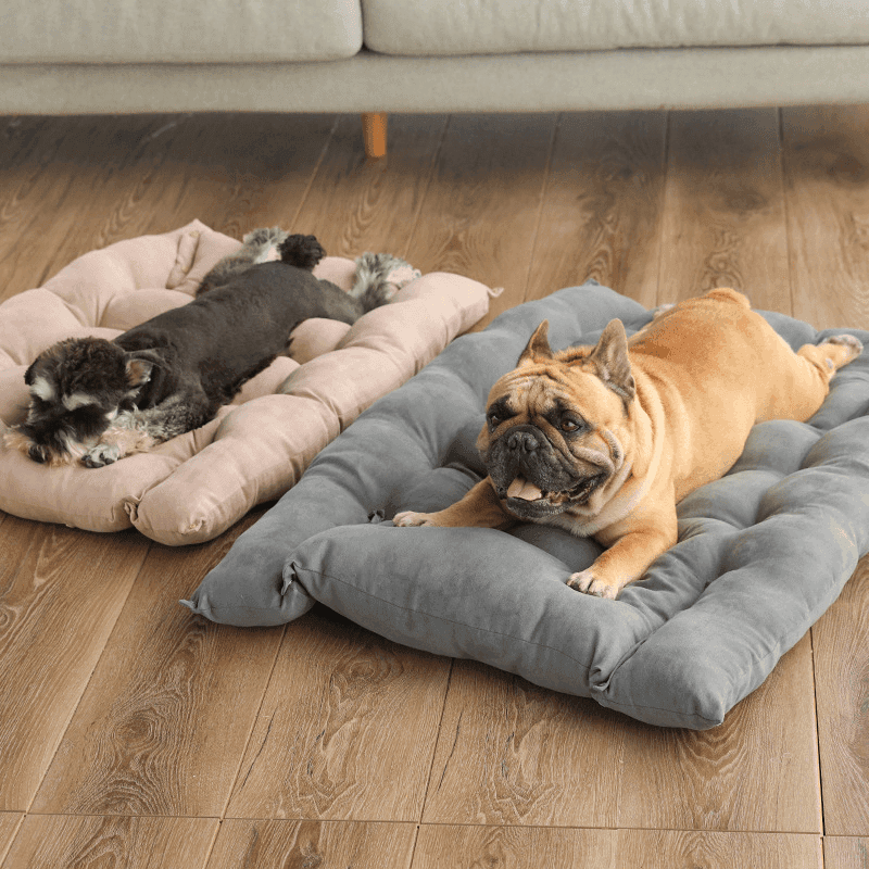 Folding Nest Sofa Bed - Lifestyle Haven