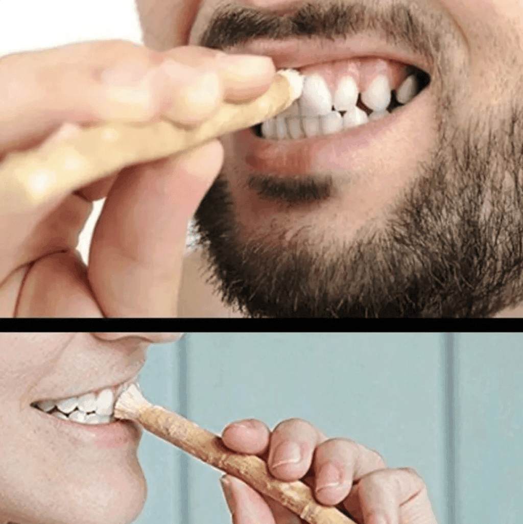 Miswak Tooth Cleaning Stick - Lifestyle Haven