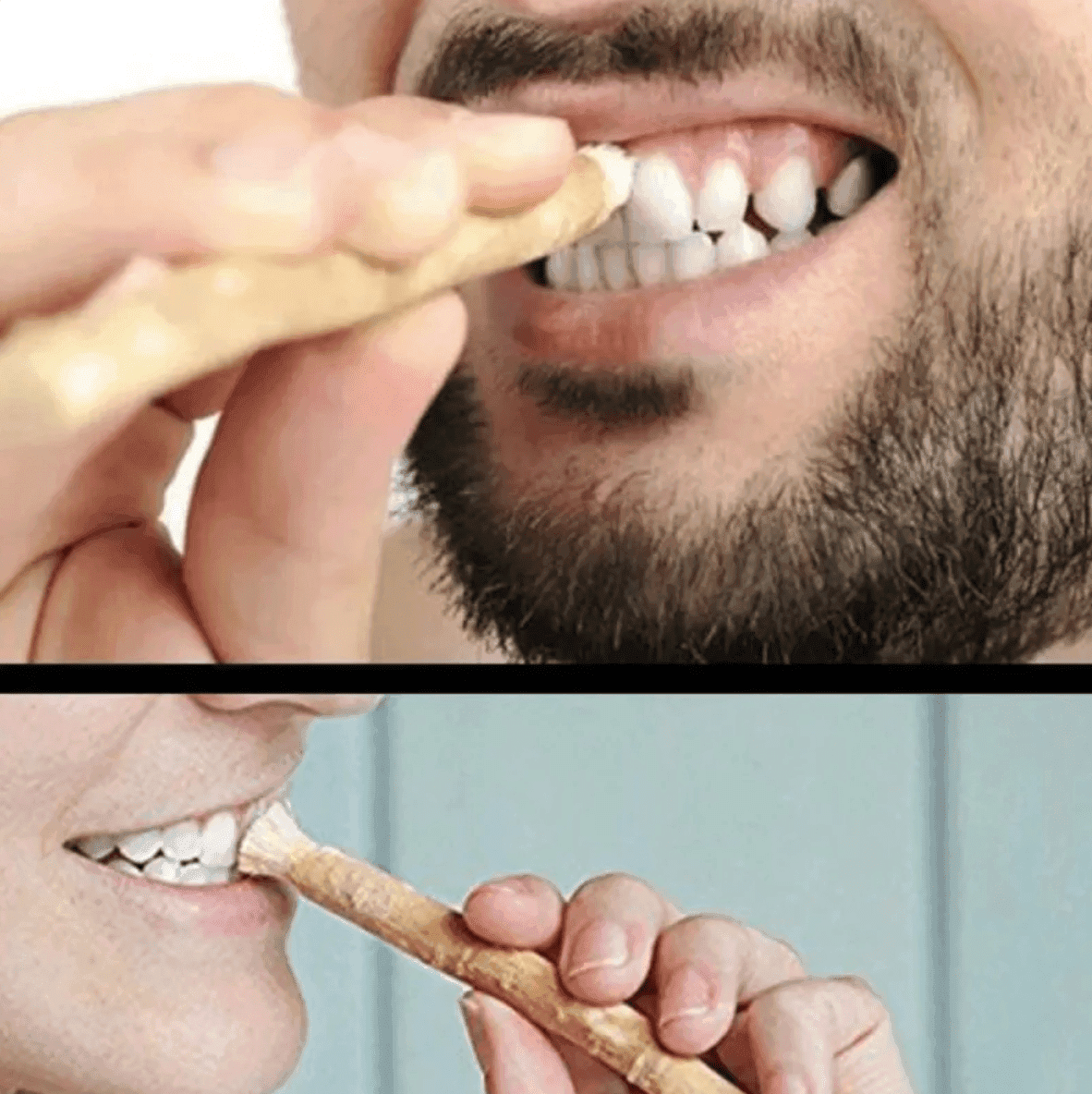 Miswak Tooth Cleaning Stick - Lifestyle Haven