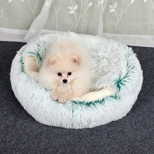 2-in1 Pet Bed - Lifestyle Haven