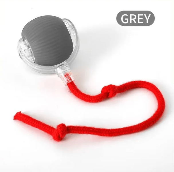 PurrPlay Self-Rolling Cat Toy Ball - Lifestyle Haven
