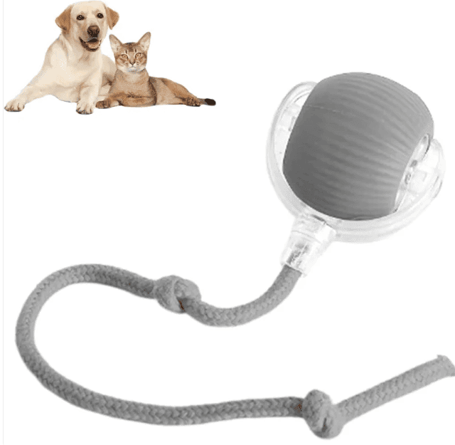 Smart Rolling Pet Ball - Lifestyle Haven