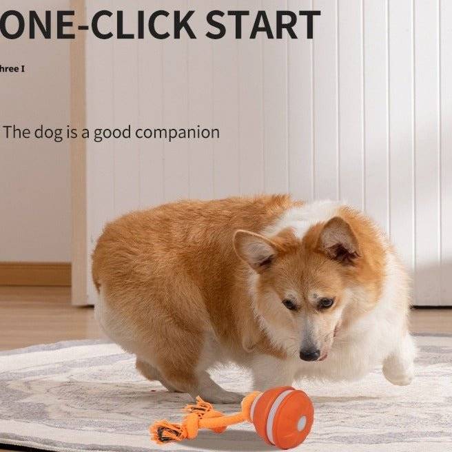 Interactive Pet Rolling Ball Toy USB Rechargeable - Lifestyle Haven