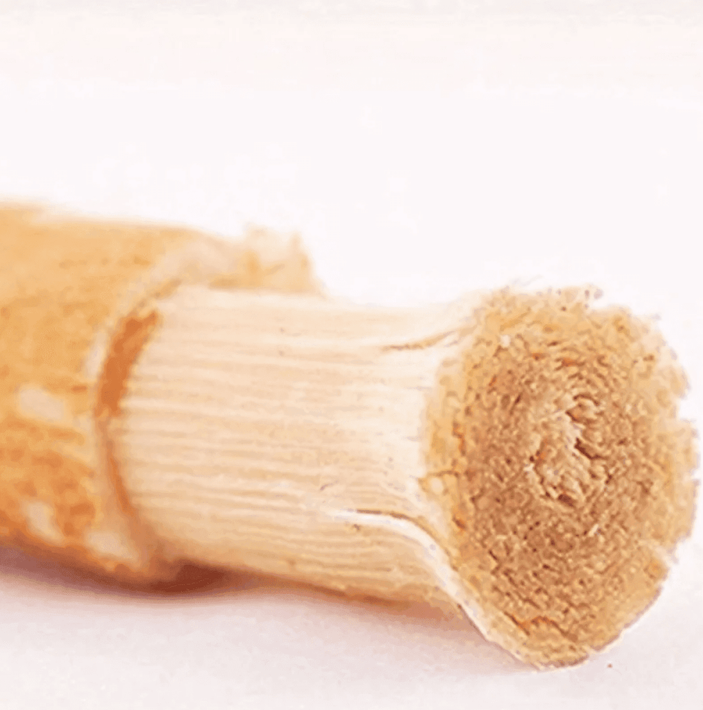 Miswak Tooth Cleaning Stick - Lifestyle Haven