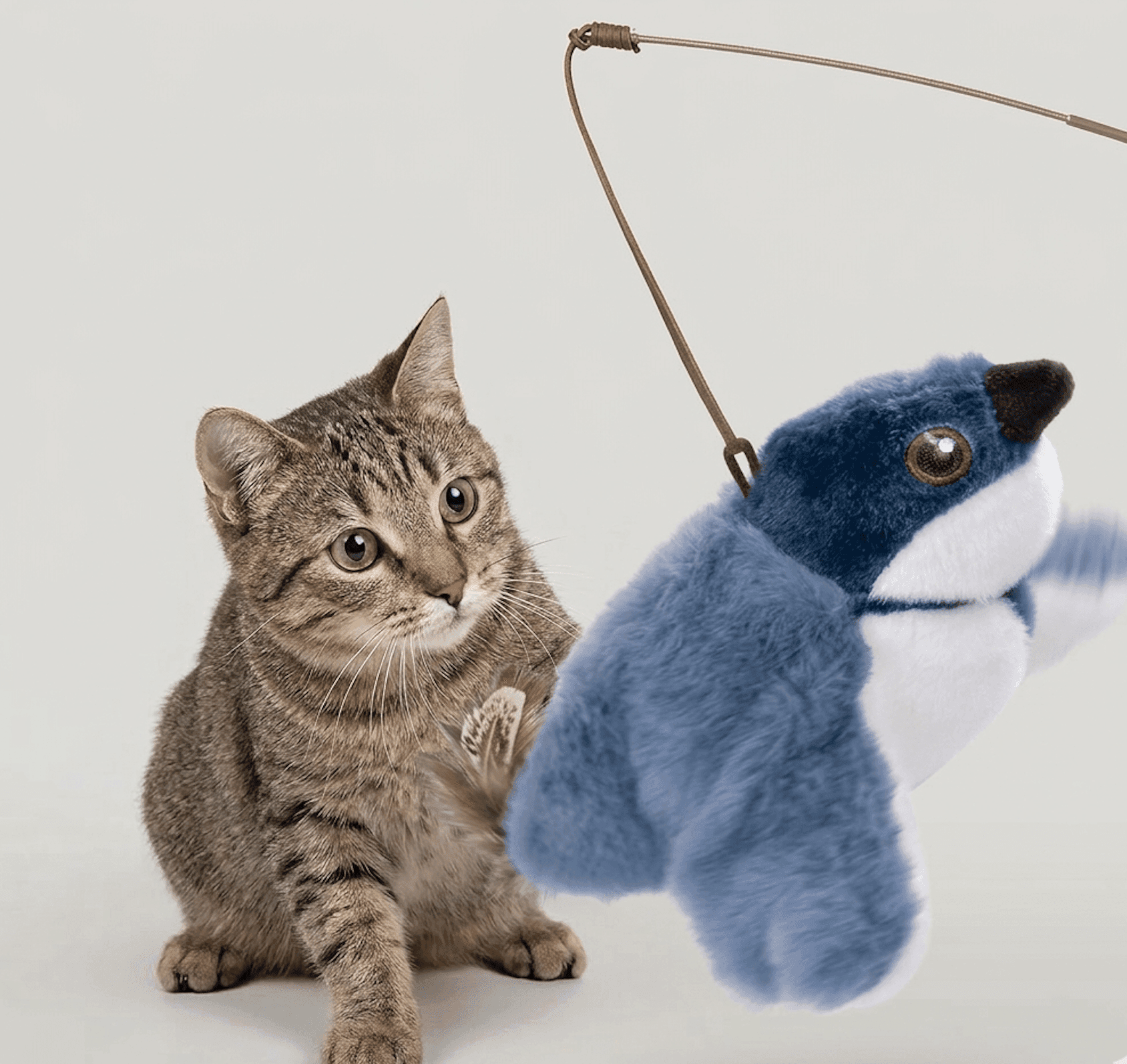 Flapping Bird Cat Toy - Lifestyle Haven