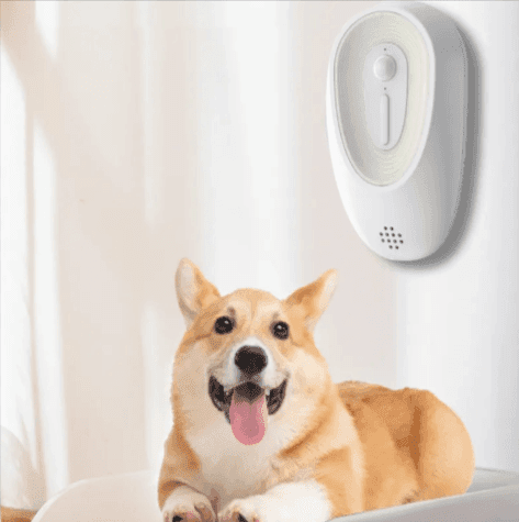 Pet Odor Eliminator for Litter Boxes - Lifestyle Haven