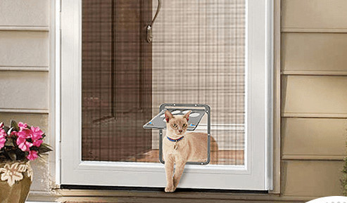 Creative Pet Door with Scratch-Resistant Design - Lifestyle Haven