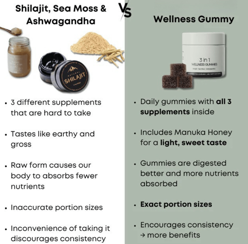 Shilajit 3-in-1 Gummies for Men - Lifestyle Haven