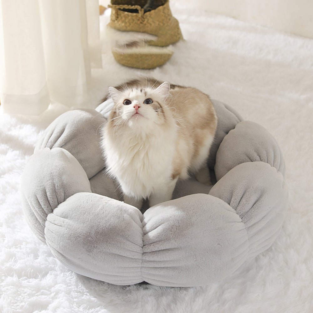 Universal Washable Cat and Dog Bed - Lifestyle Haven
