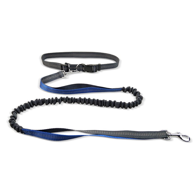 Dog Walking Belt with Detachable Shockproof Leash - Lifestyle Haven