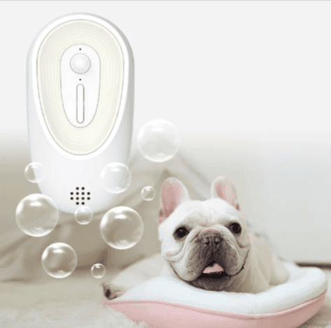 Pet Odor Eliminator for Litter Boxes - Lifestyle Haven