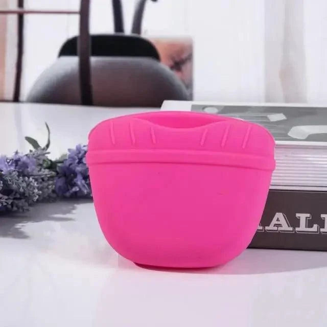 Portable Dog Training Treat Pouch Substantial Clip Cool Outdoor Feed Storage Pouch Waist Bags For Pets