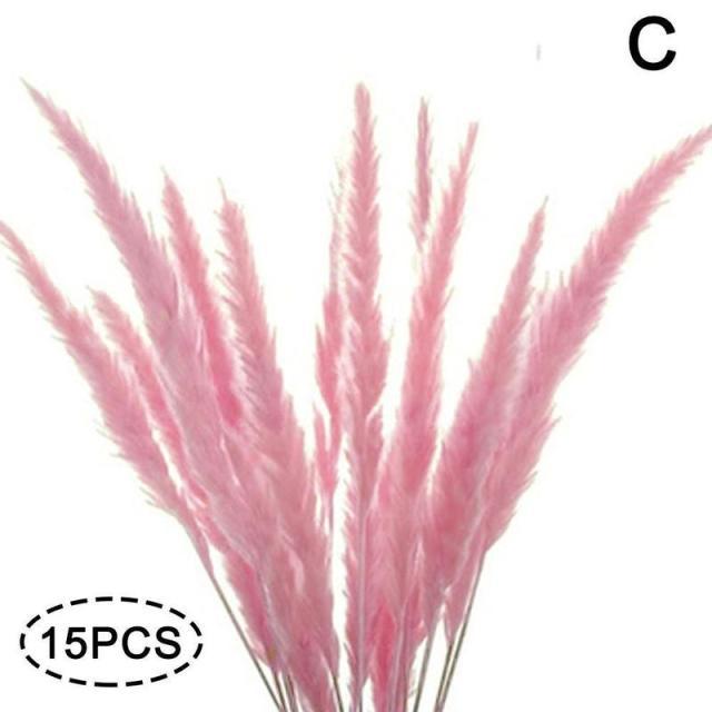 Real Dried Grass Reed Flower Natural Dry Small Bulrush Bouquet Pampas Reeds Home Decoration Wedding Decor Pompass Grass Branches for Vase Artificial Grass Room Décor Wedding Decorations